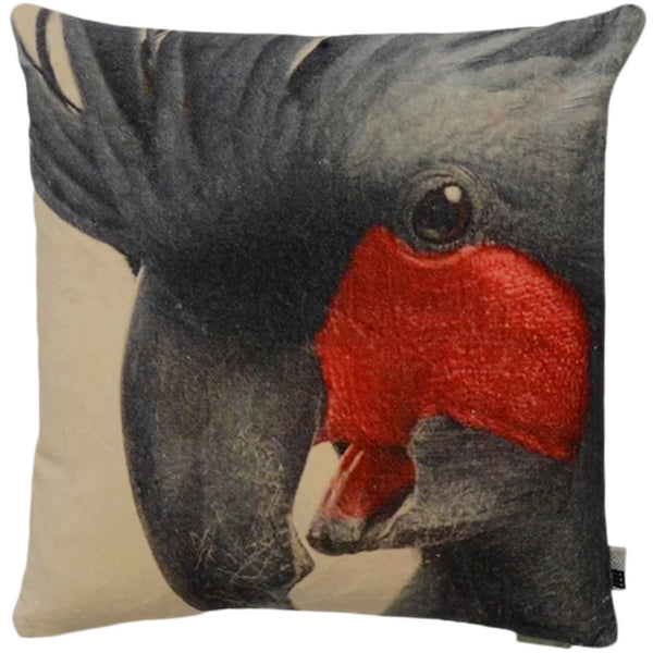 Kussen Parrot red 50x50cm